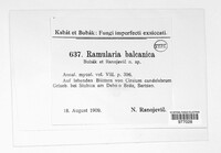 Image Associated With the Occurence